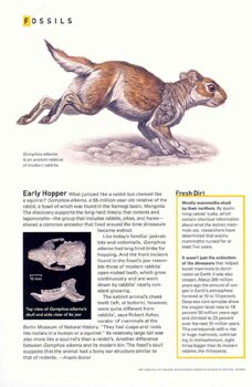 Recent illustrations for National Geographic and other publications.